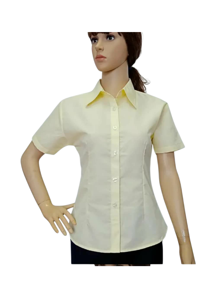 ladies' short sleeve office shirt